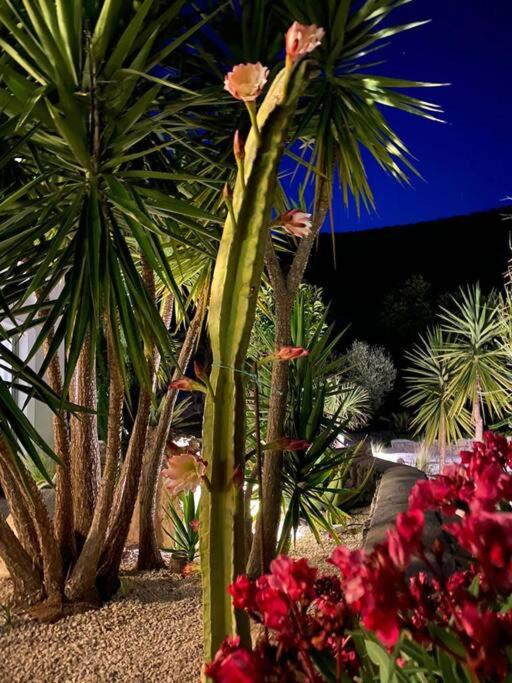 Secluded Villa Amadeus,hammam & tennis