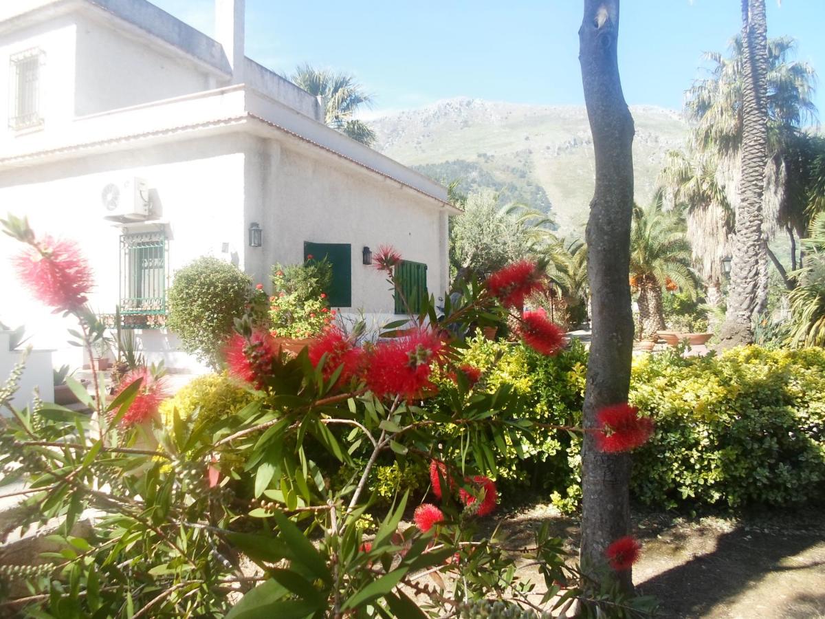 Photo 21