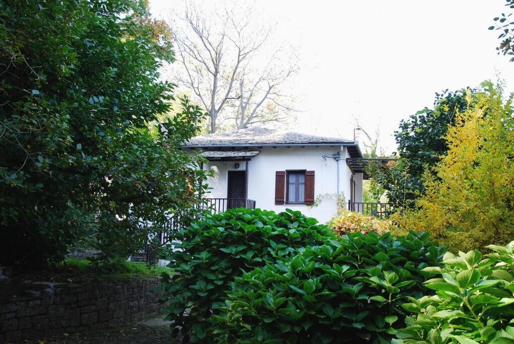 Photo 41
