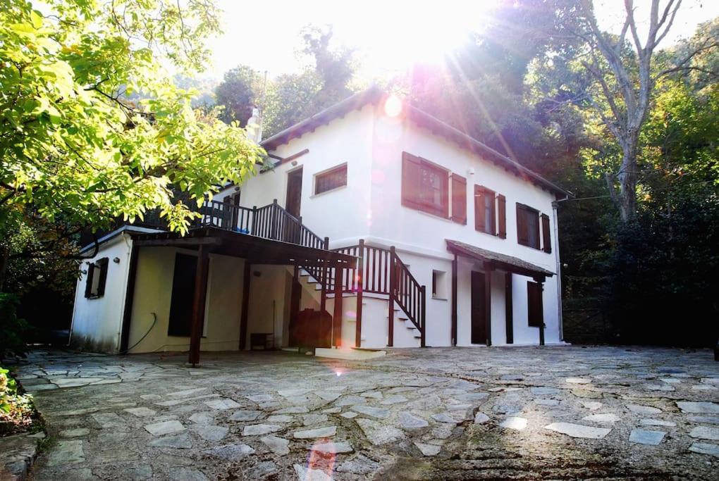 The Cottage in the Trees view 2