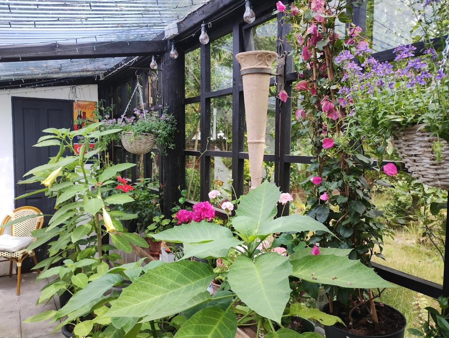 Ezzo guest house