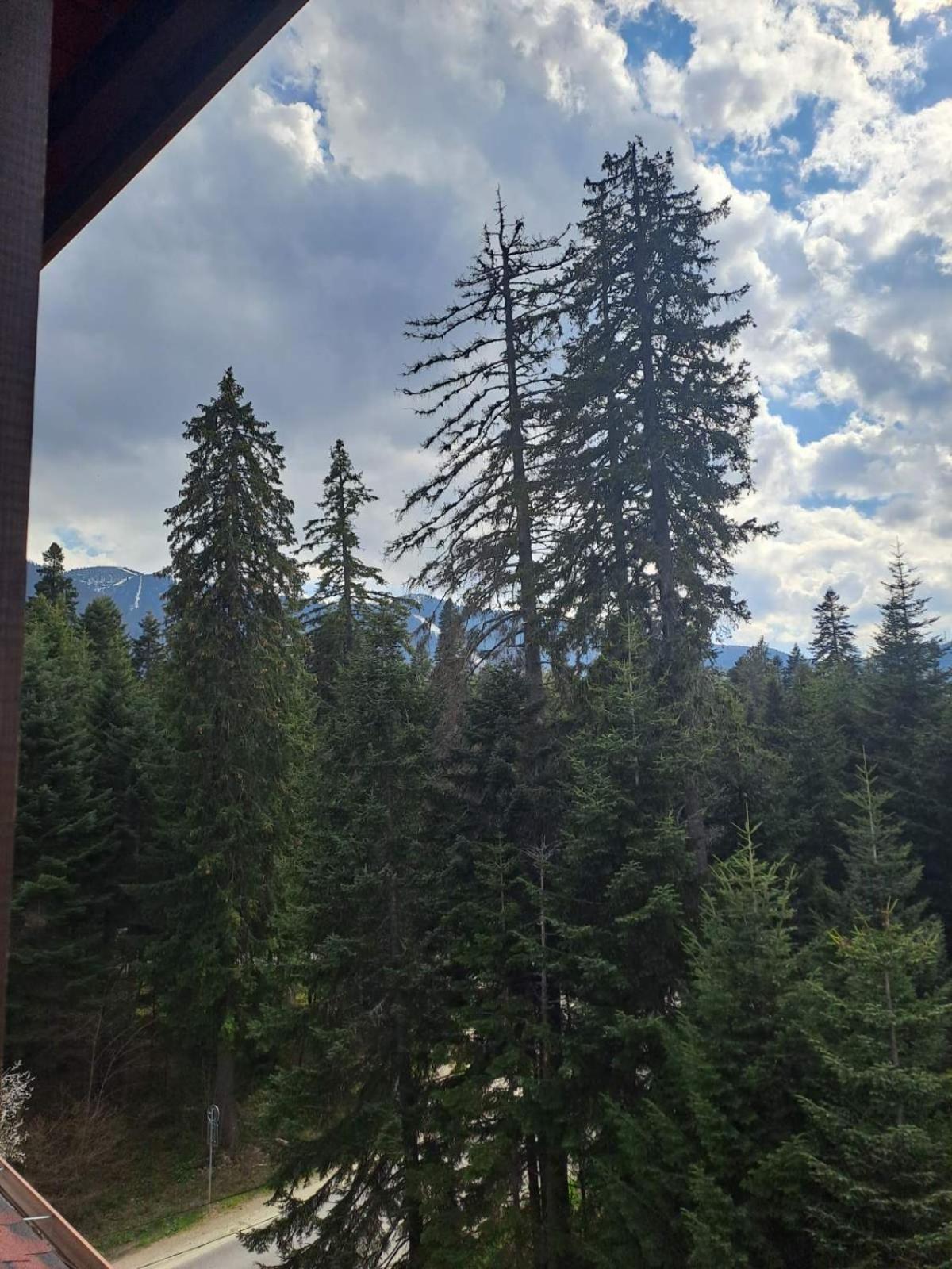 Premium StudioApartment in Borovets Gardens