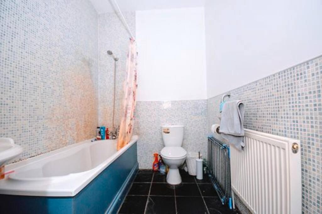 lovely 4 Bedroom flat in London