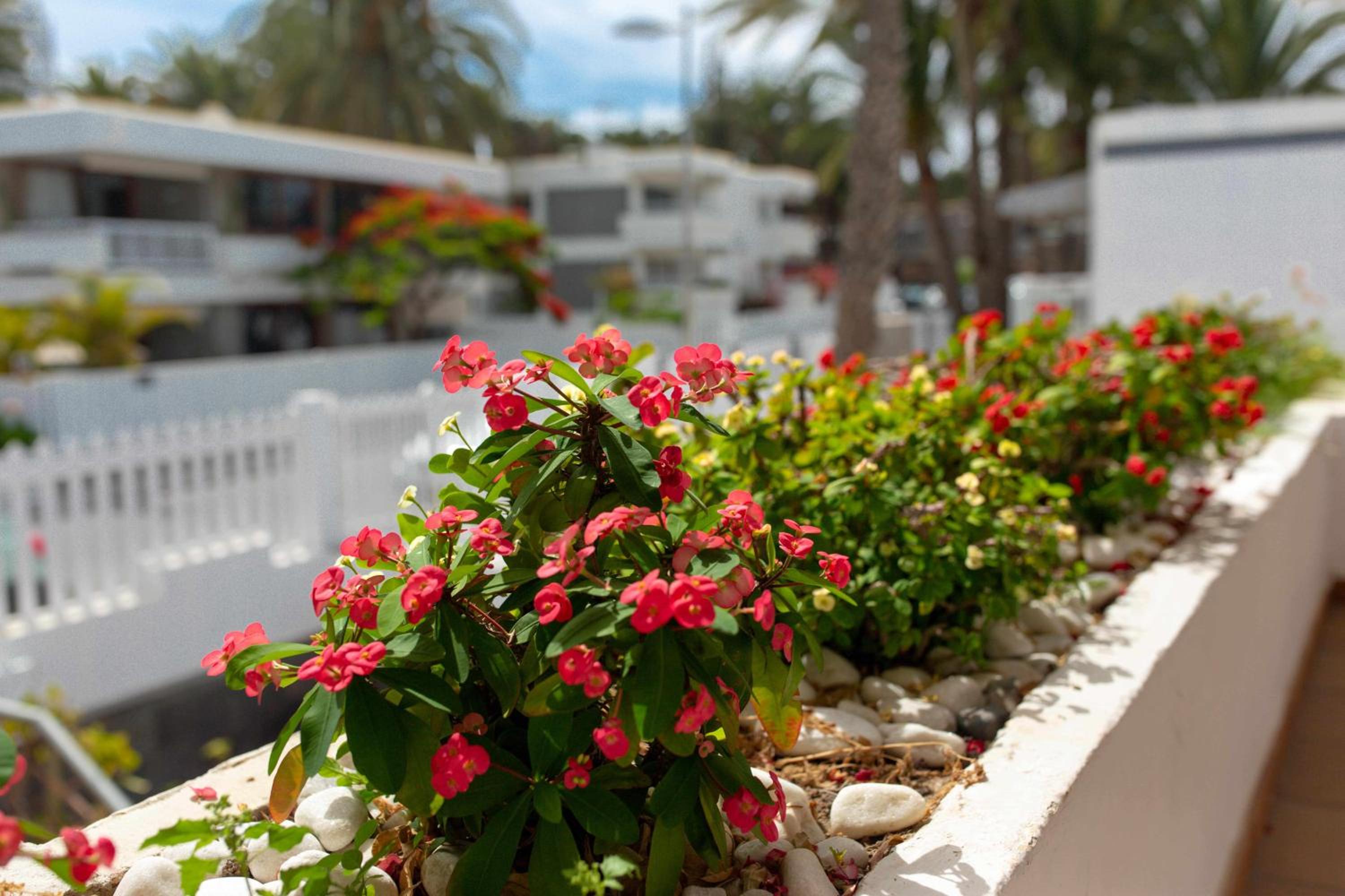Apartamento Maypa 2 Salitre