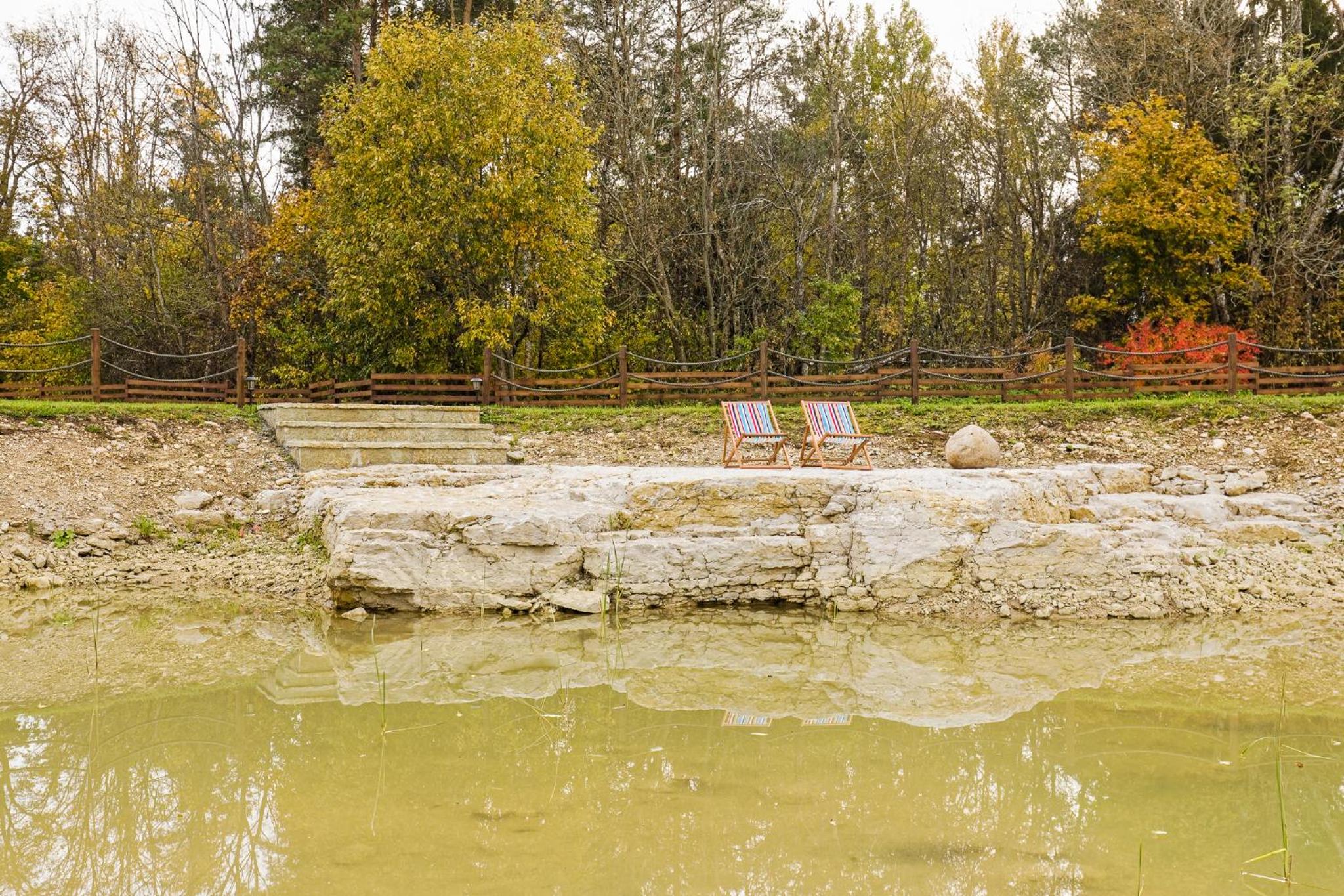 Saare Paadiküla