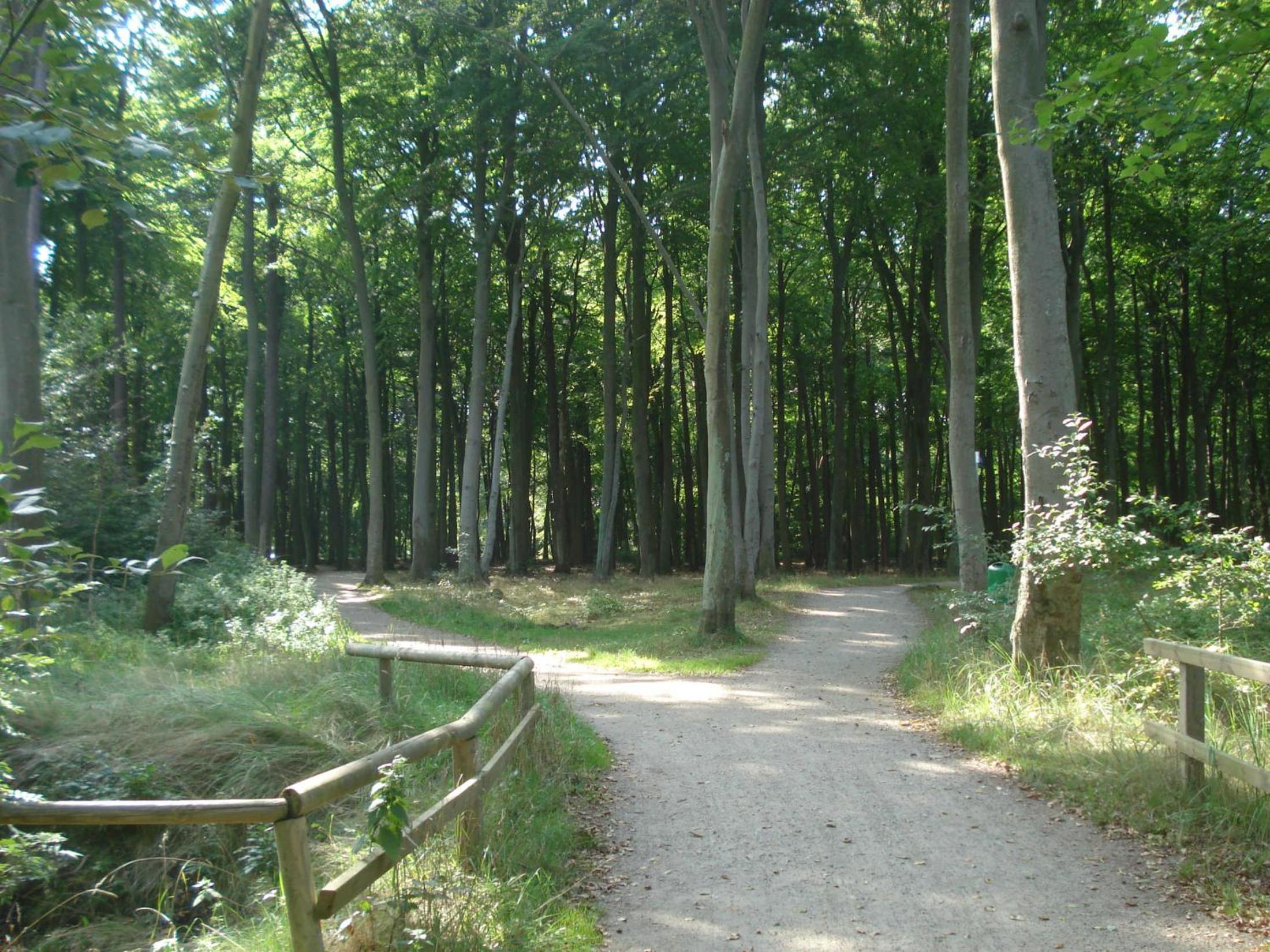 Küstenwald - Ferienwohnung Nordwind