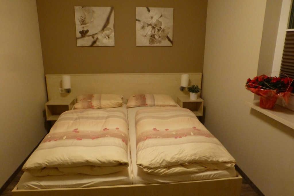 Küstenwald - Ferienwohnung Nordwind