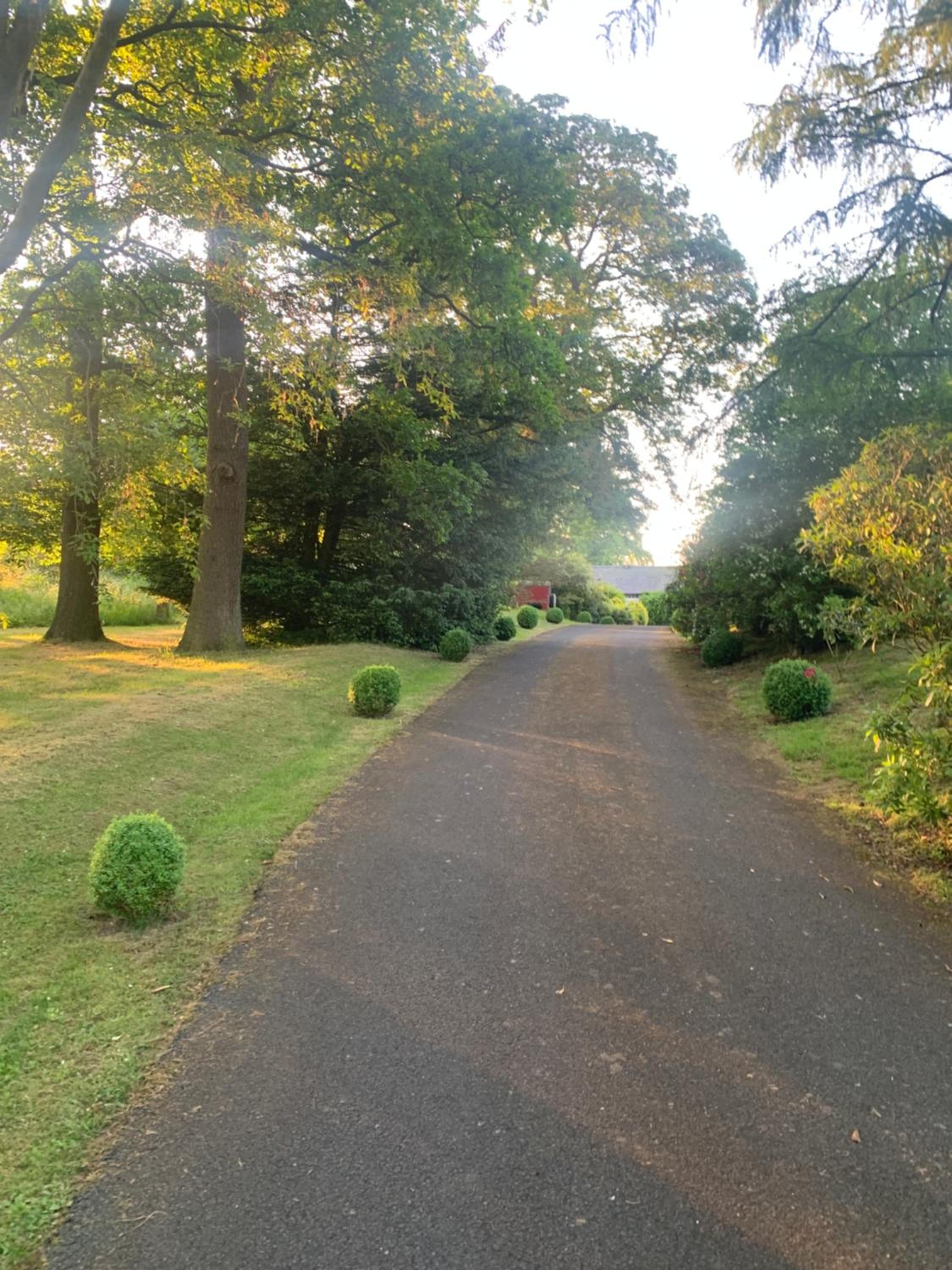 Dalton House Bed and Breakfast view 5
