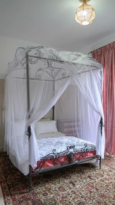 Douiria salix agafay