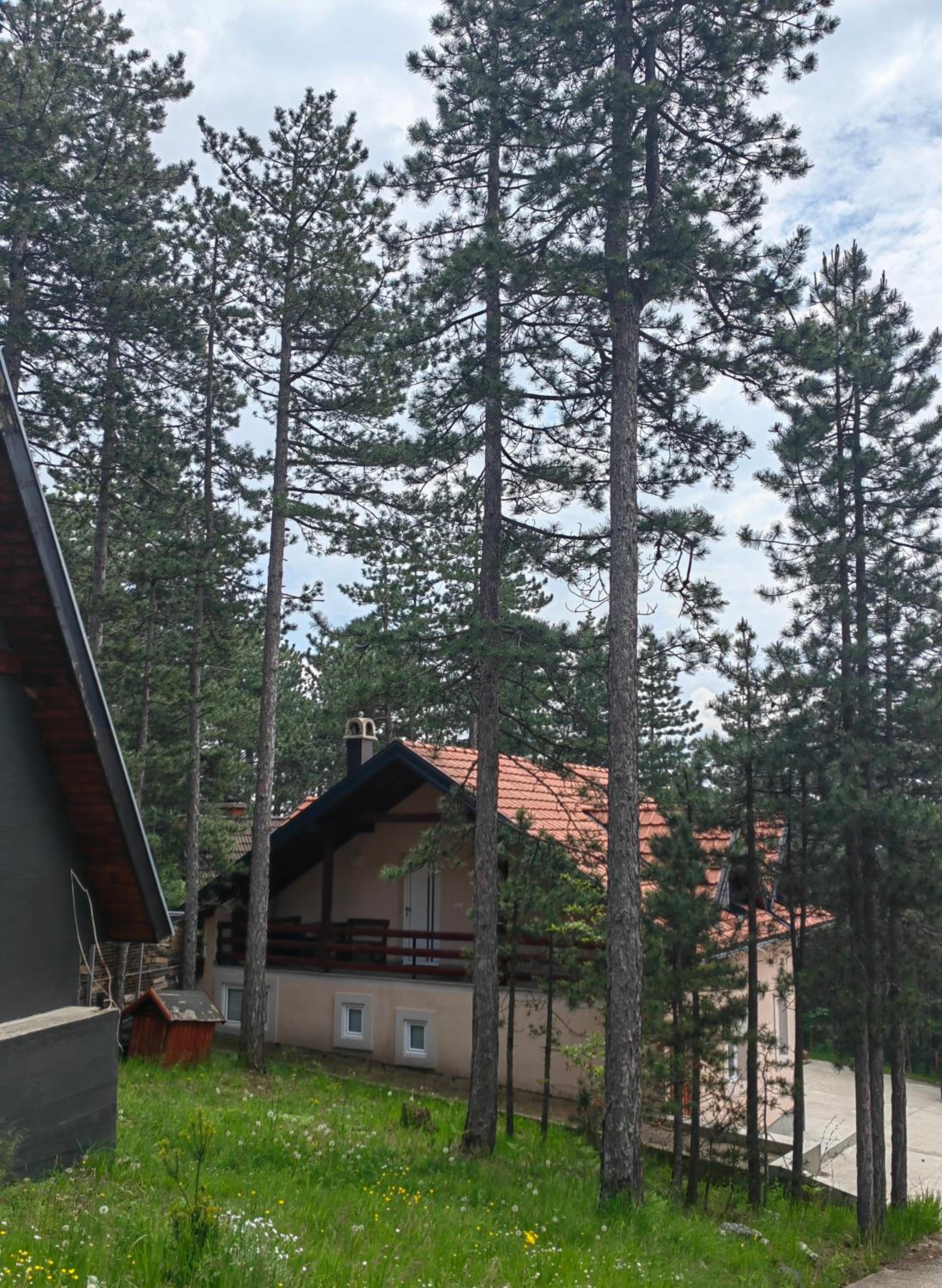 Cottage Nena Tara view 3