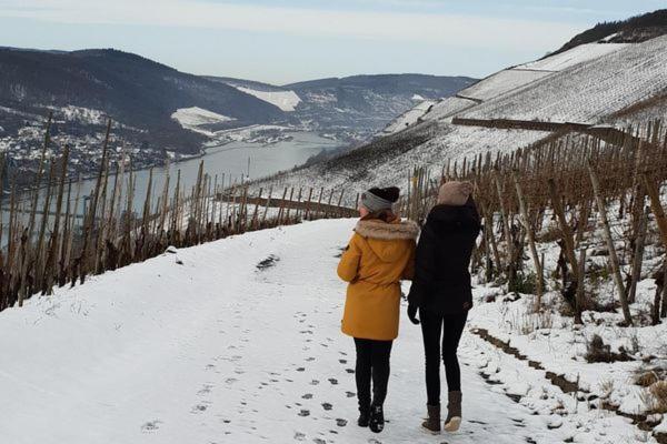 Mosel Village Resort