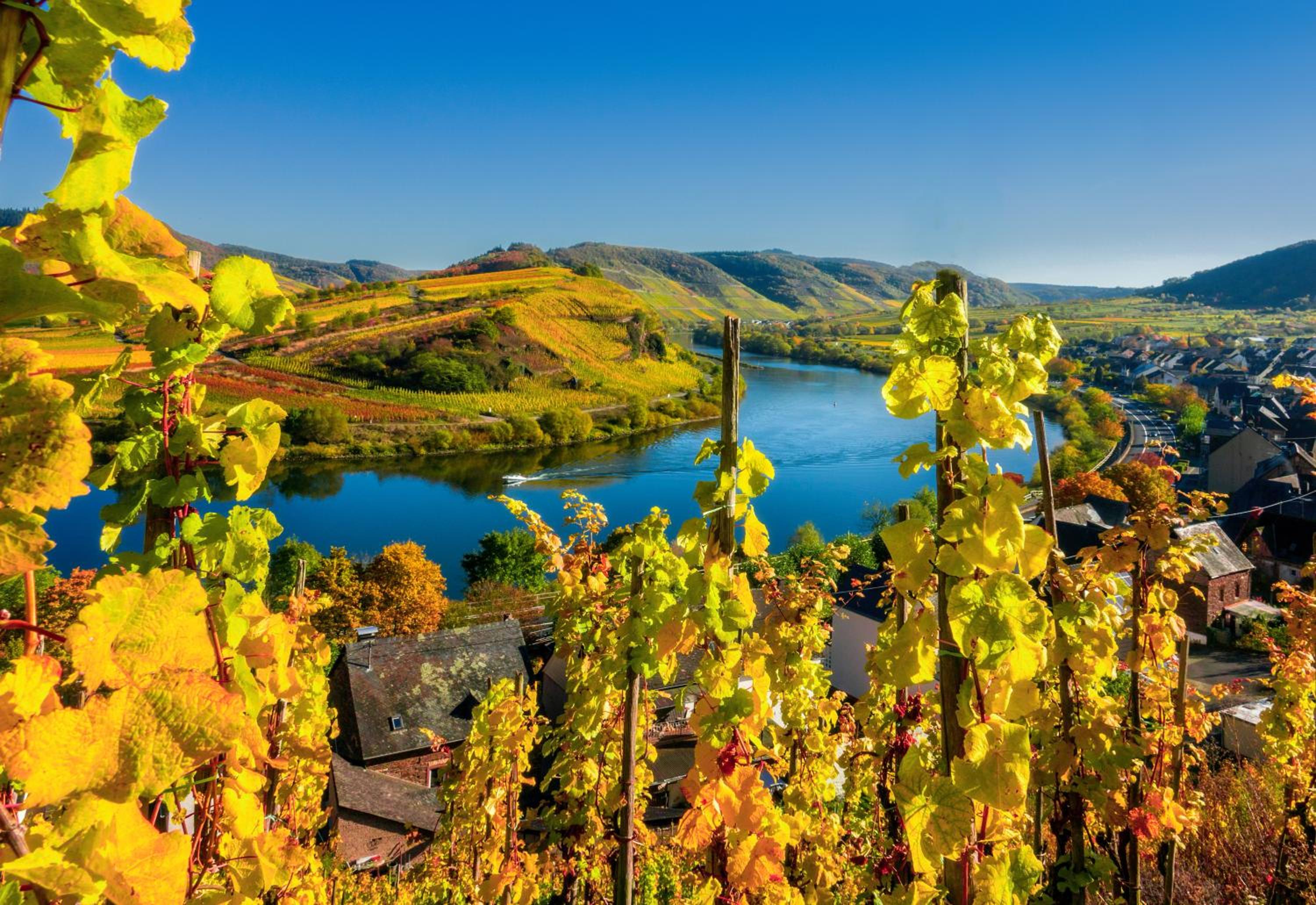 Mosel Village Resort