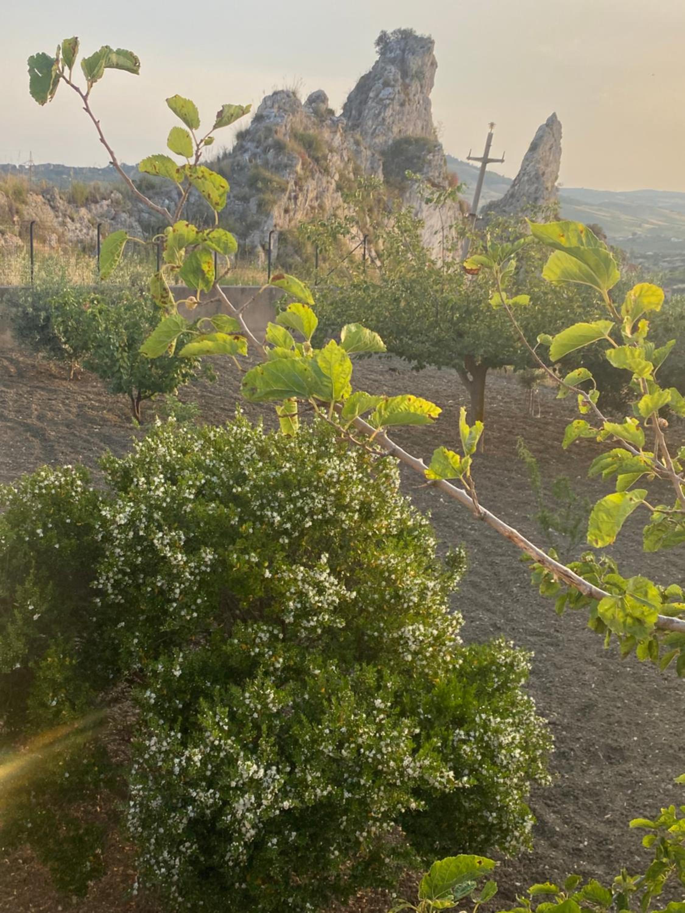 Villetta Tranquilla