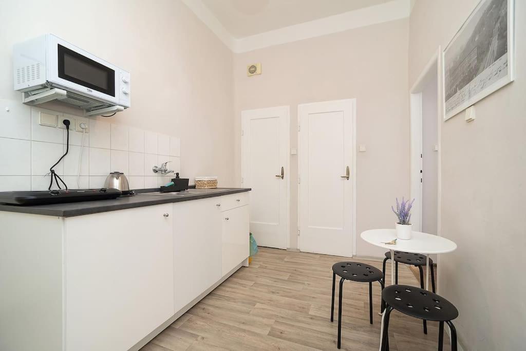 Apartment in Zizkov -202-