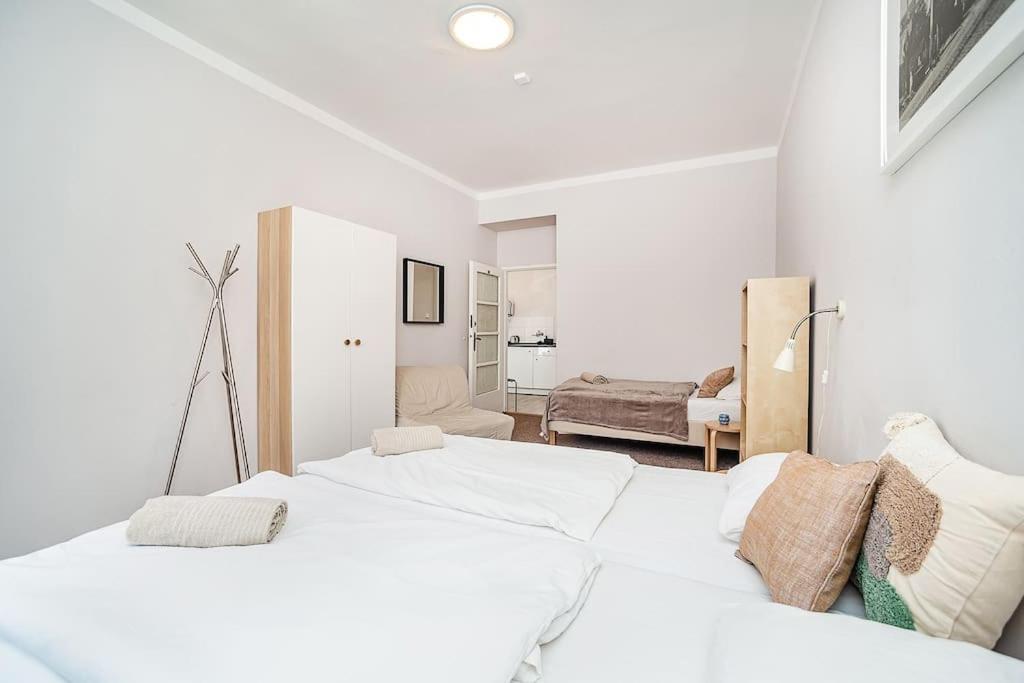 Apartment in Zizkov -202-