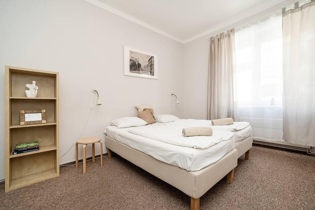 Apartment in Zizkov -202-