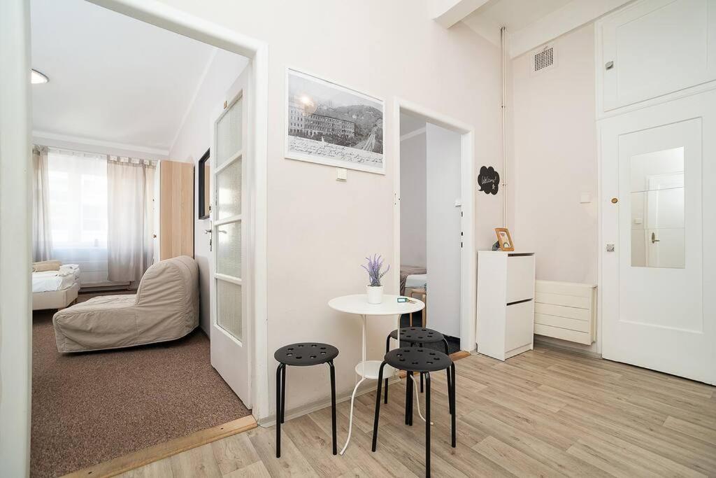 Apartment in Zizkov -202-