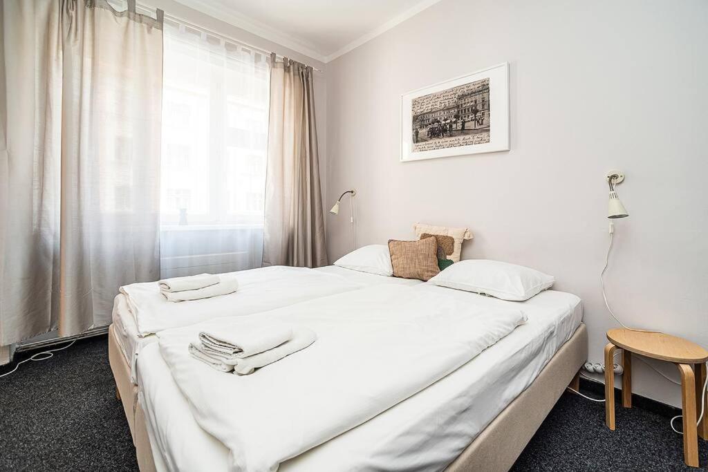 Apartment in Zizkov -202-