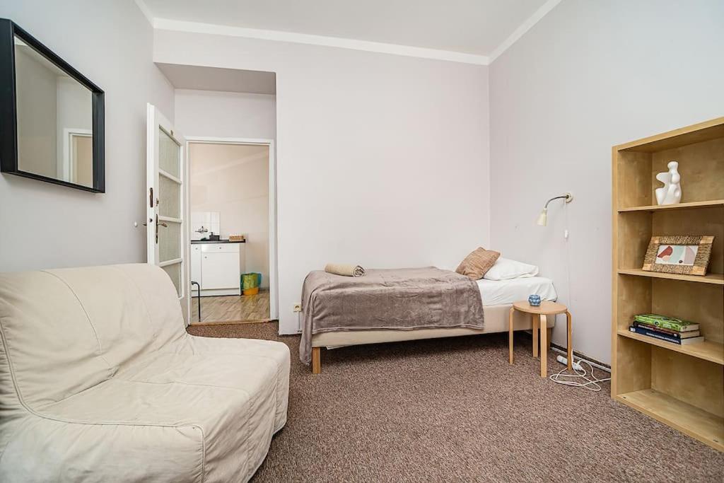 Apartment in Zizkov -202-