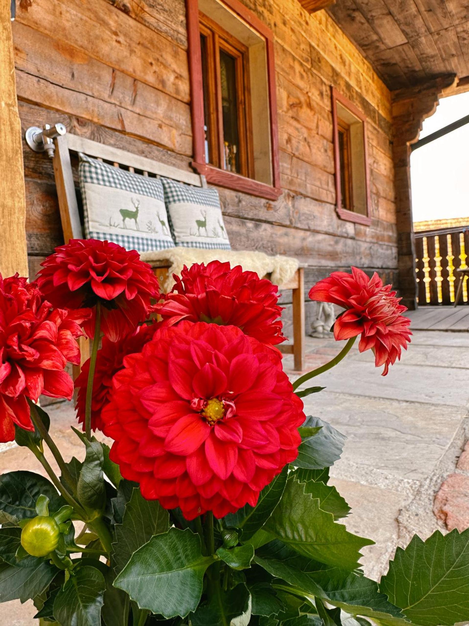 Romantisches Wellness Chalet im steirischen Ursprung