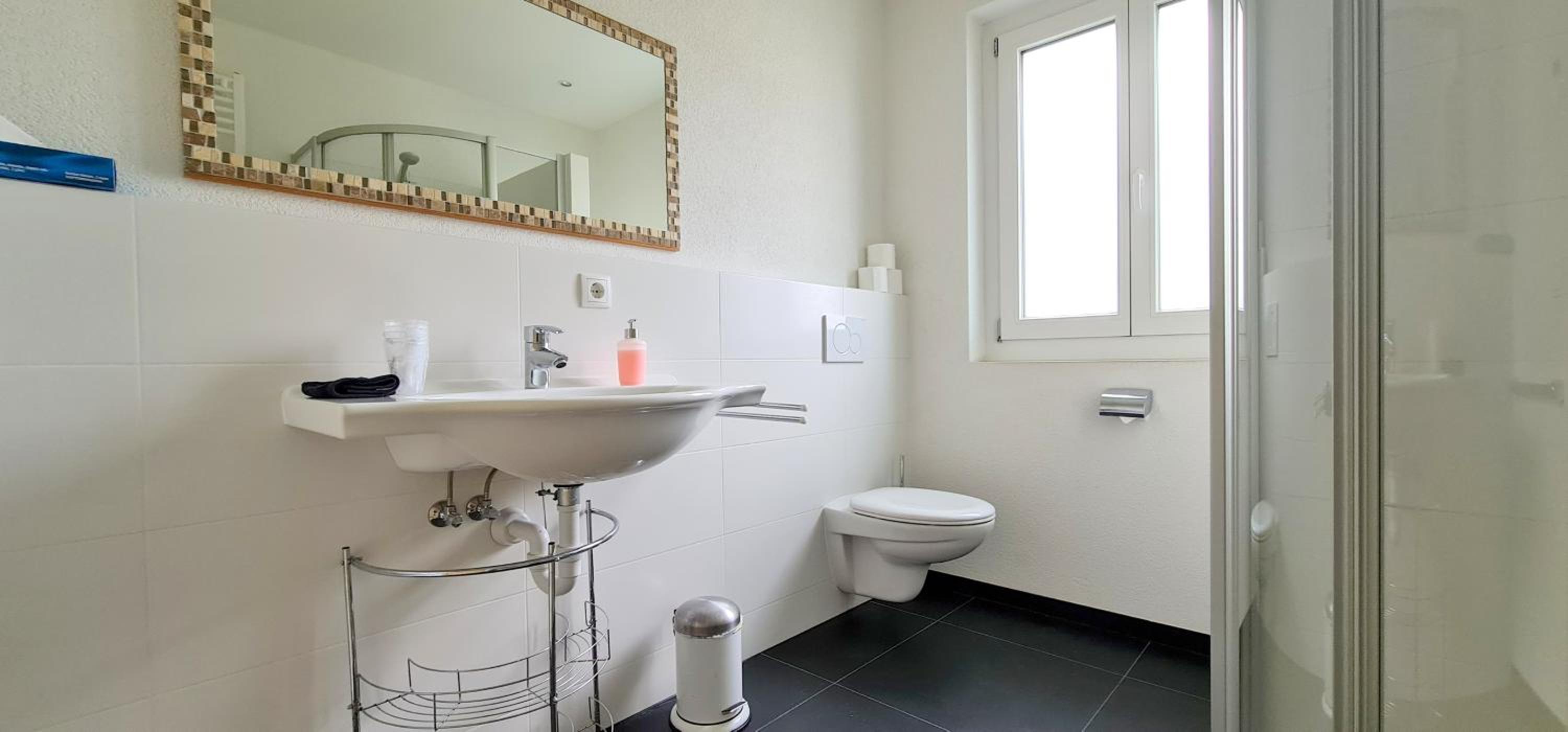 Apartment Traube - Stelvio