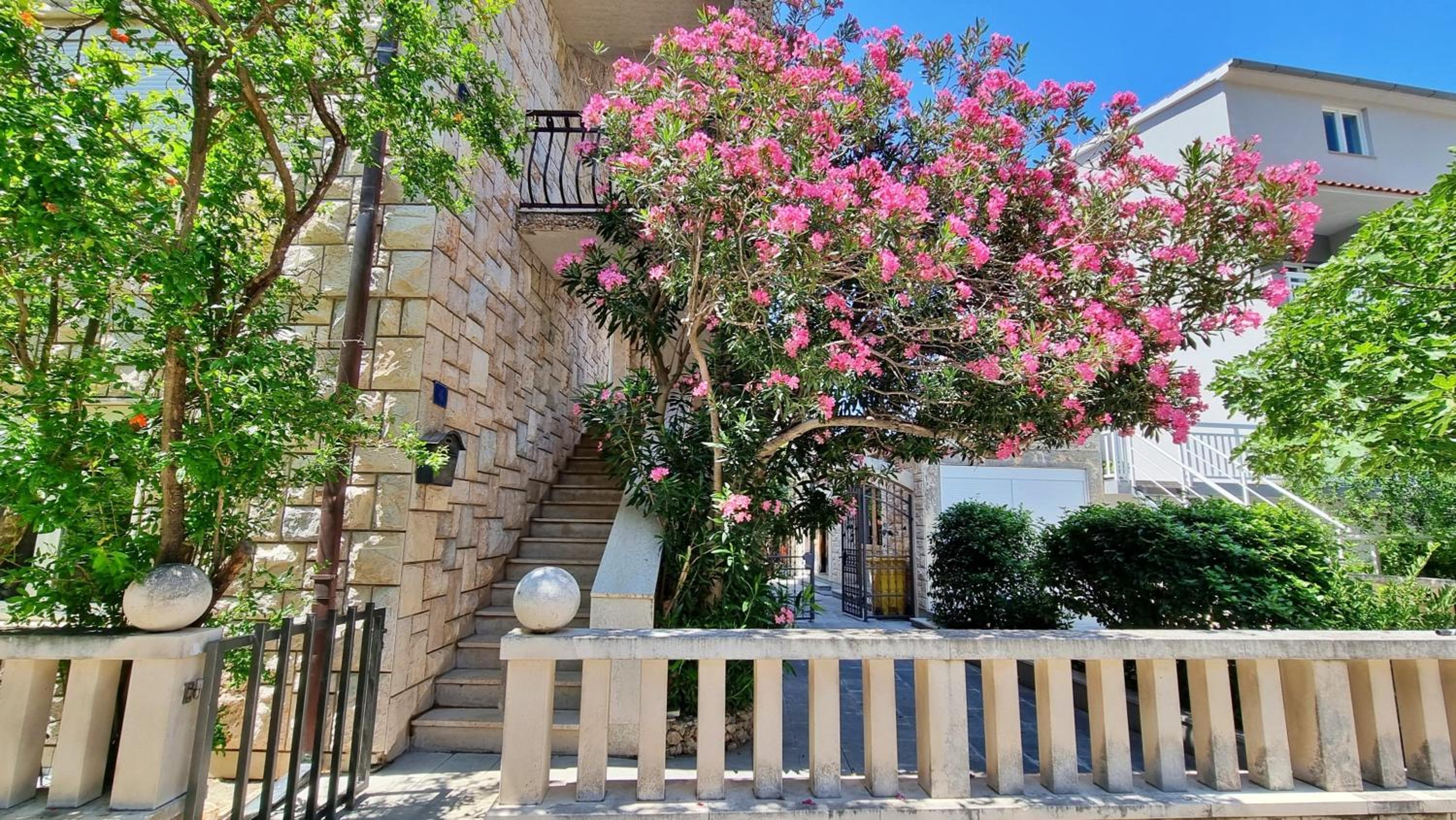 Apartments Iko Nemira