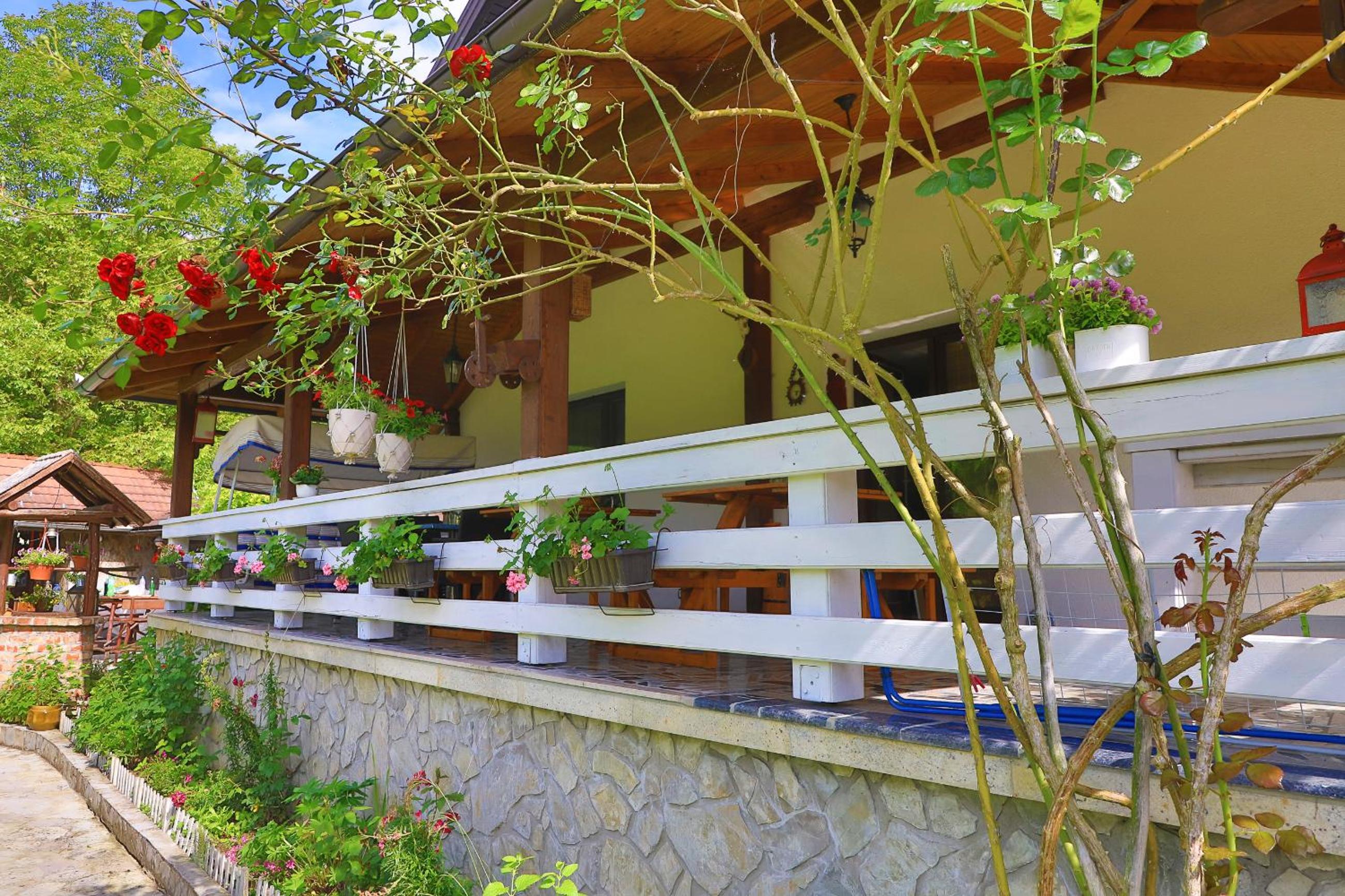 Apartments Oeneus