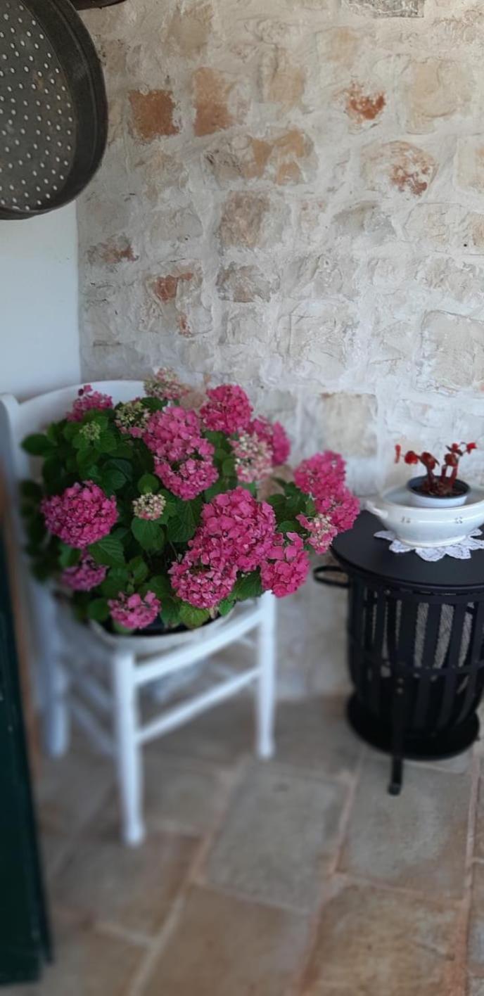 Trullo Donna Caterina
