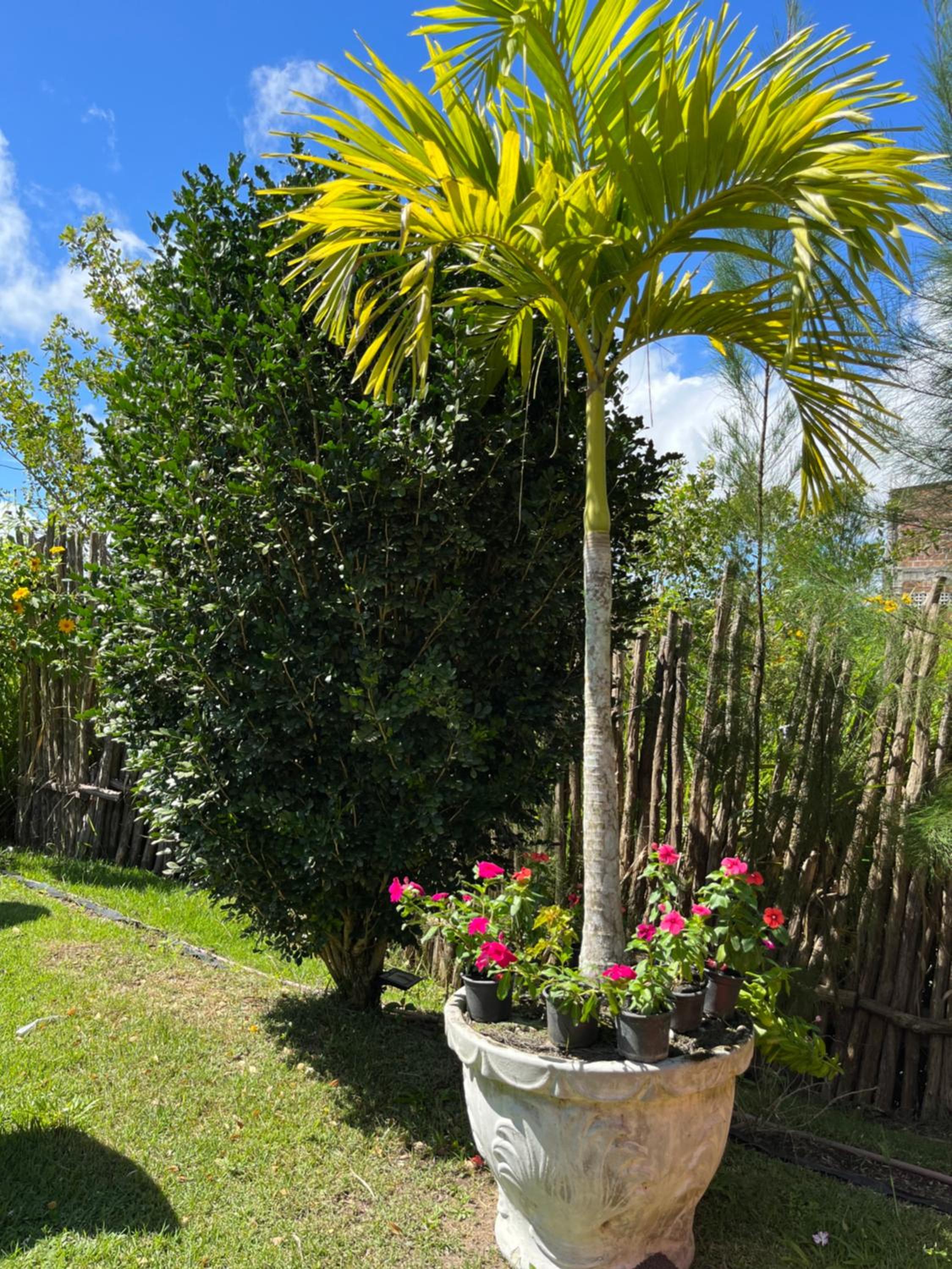 Casa Santa Felicidade - Gravatá
