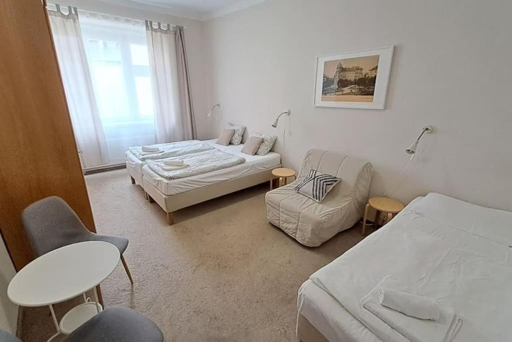 Apartment in Zizkov -301-