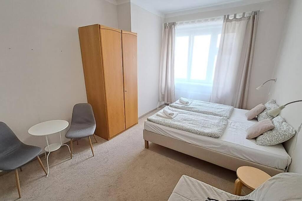 Apartment in Zizkov -301-