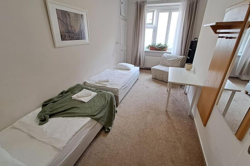 Apartment in Zizkov -301-