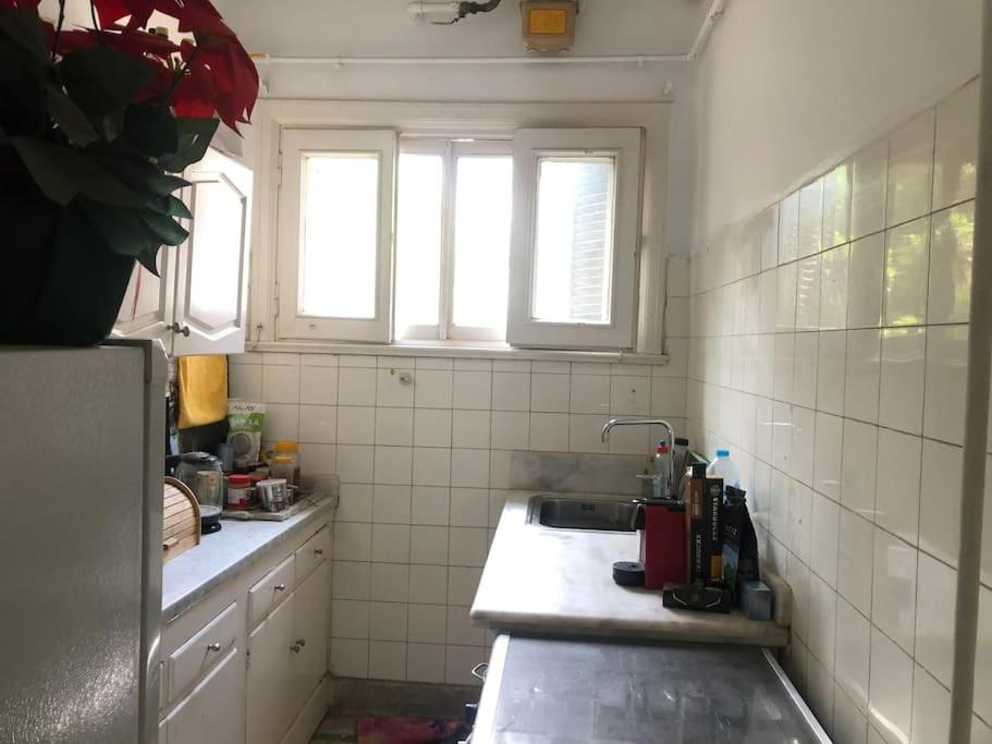 Spacious downtown Nile apartment