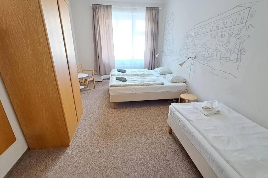 Flat in Zizkov -302-