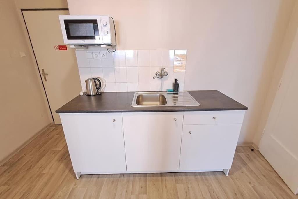 Flat in Zizkov -302-