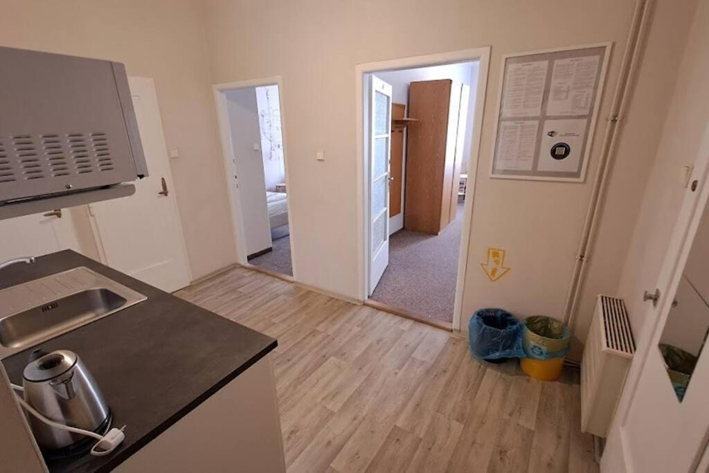 Flat in Zizkov -302-