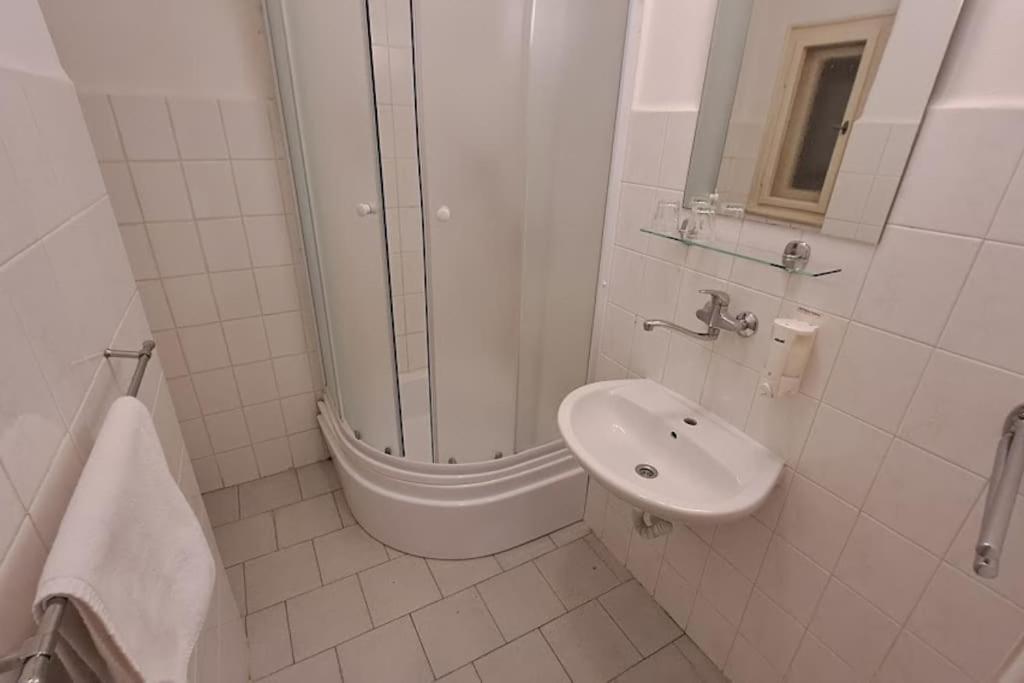 Flat in Zizkov -302-