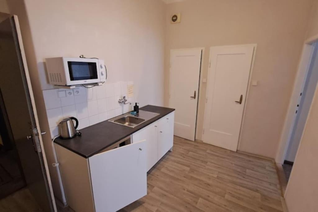 Flat in Zizkov -302-