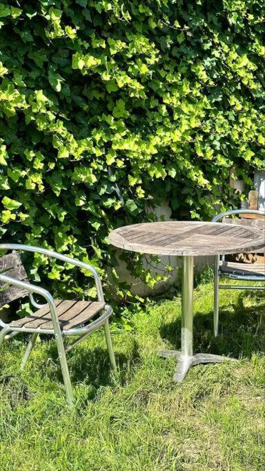 Apartment with a beautiful garden view 4