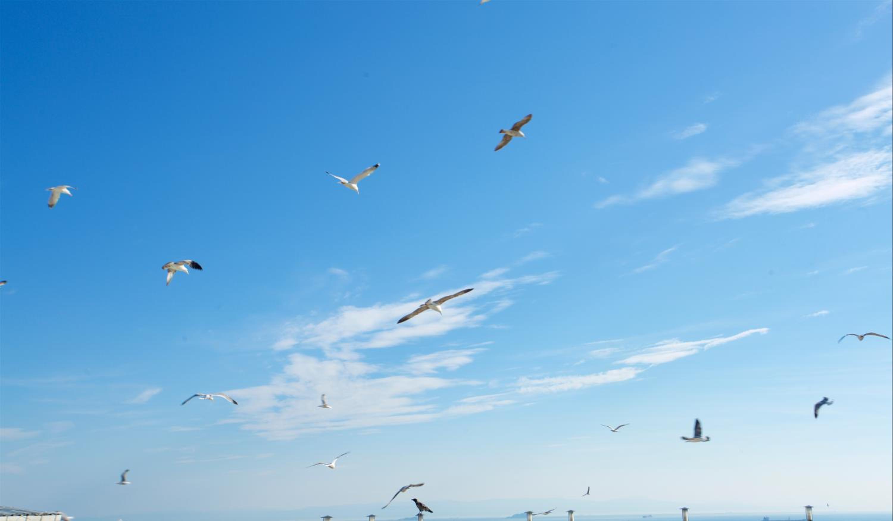 Emporium Otel - Image 37