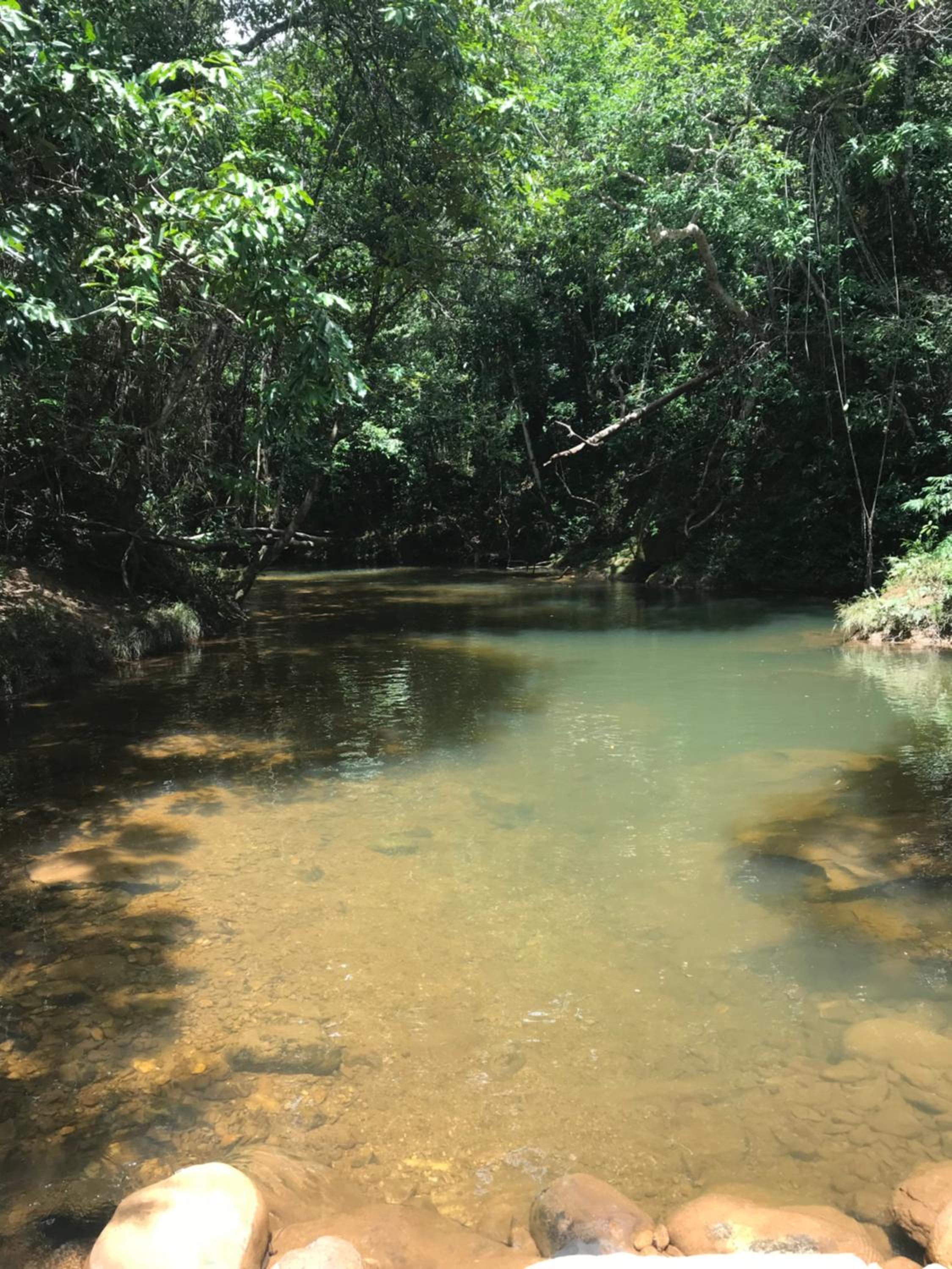 Santuário da Chapad a dos Veadeiros