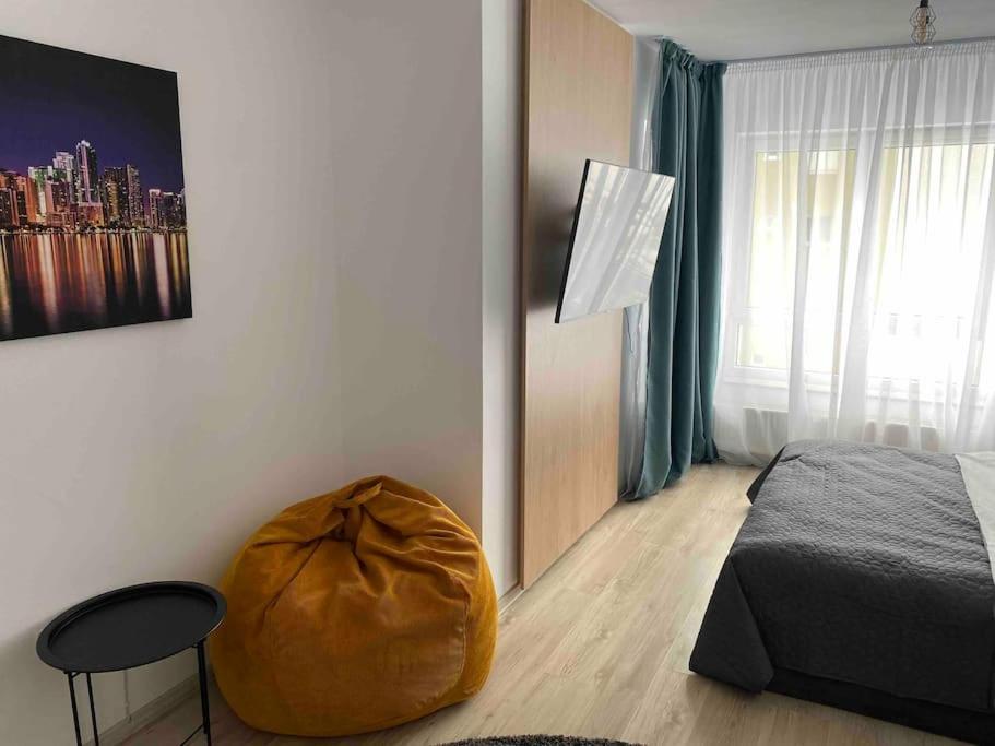 Brasov Studio 20 view 4