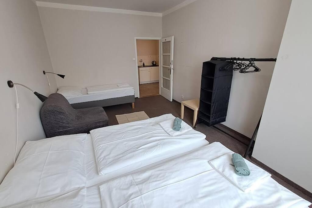 Flat in Zizkov with free underground parking -501-
