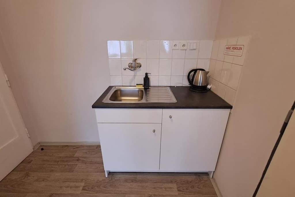 Flat in Zizkov with free underground parking -501-