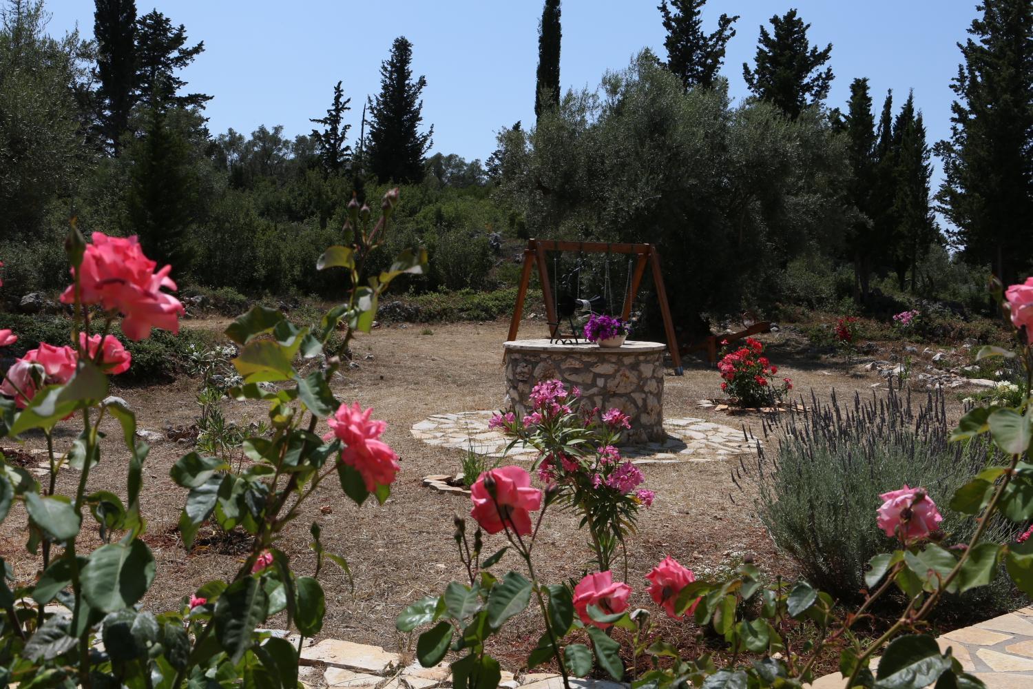 Photo 27