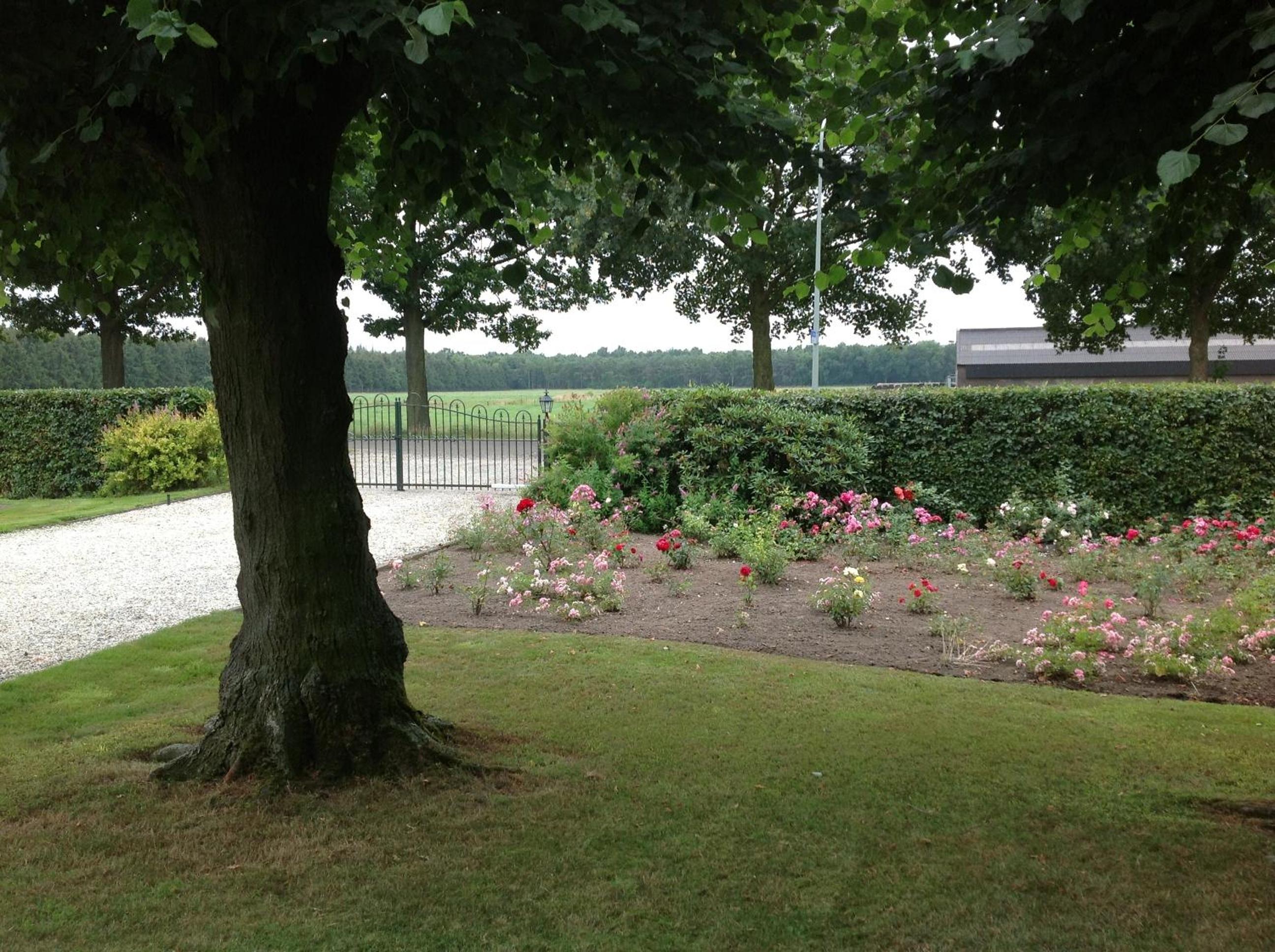 Photo 14