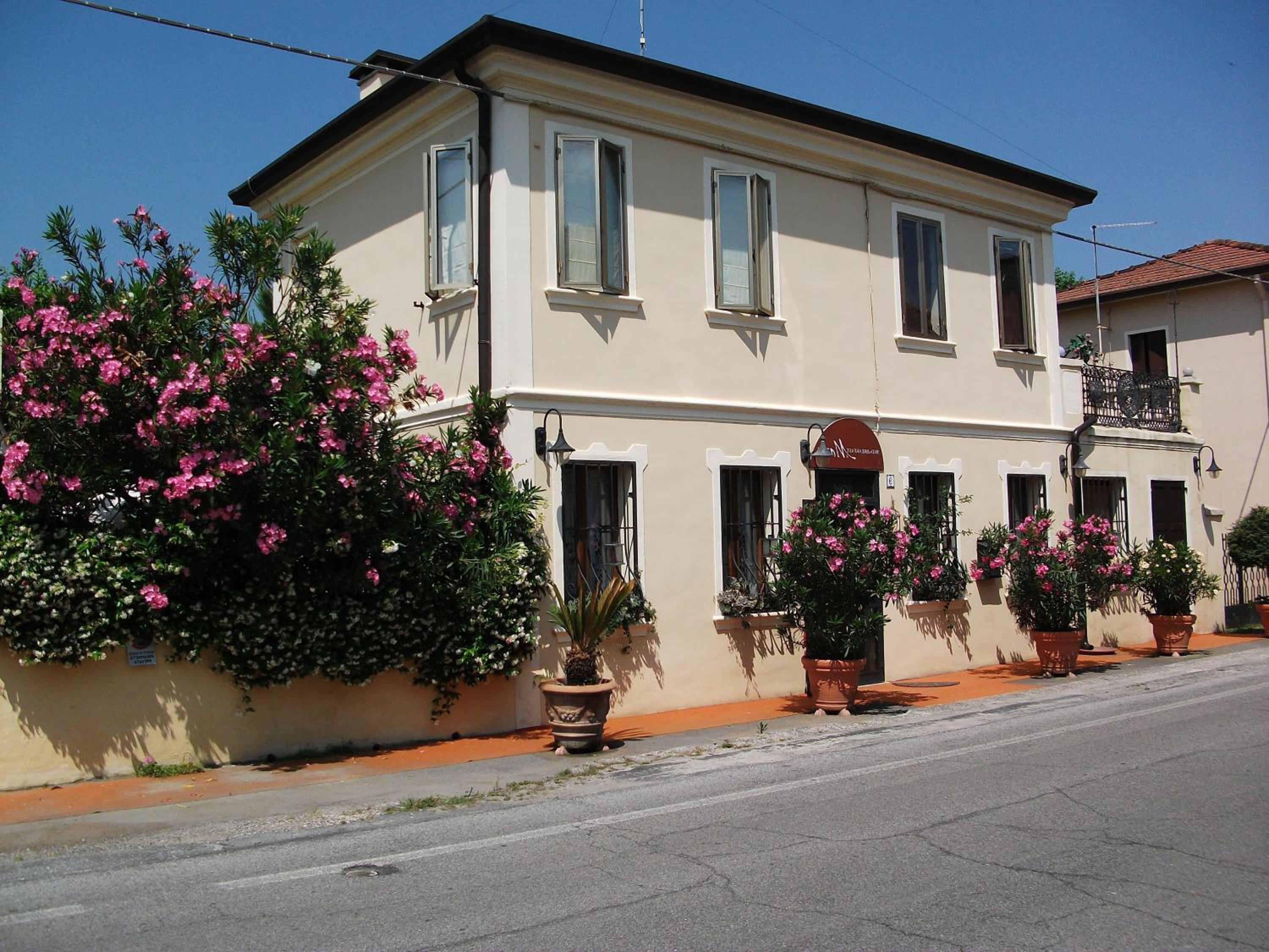 Photo 7