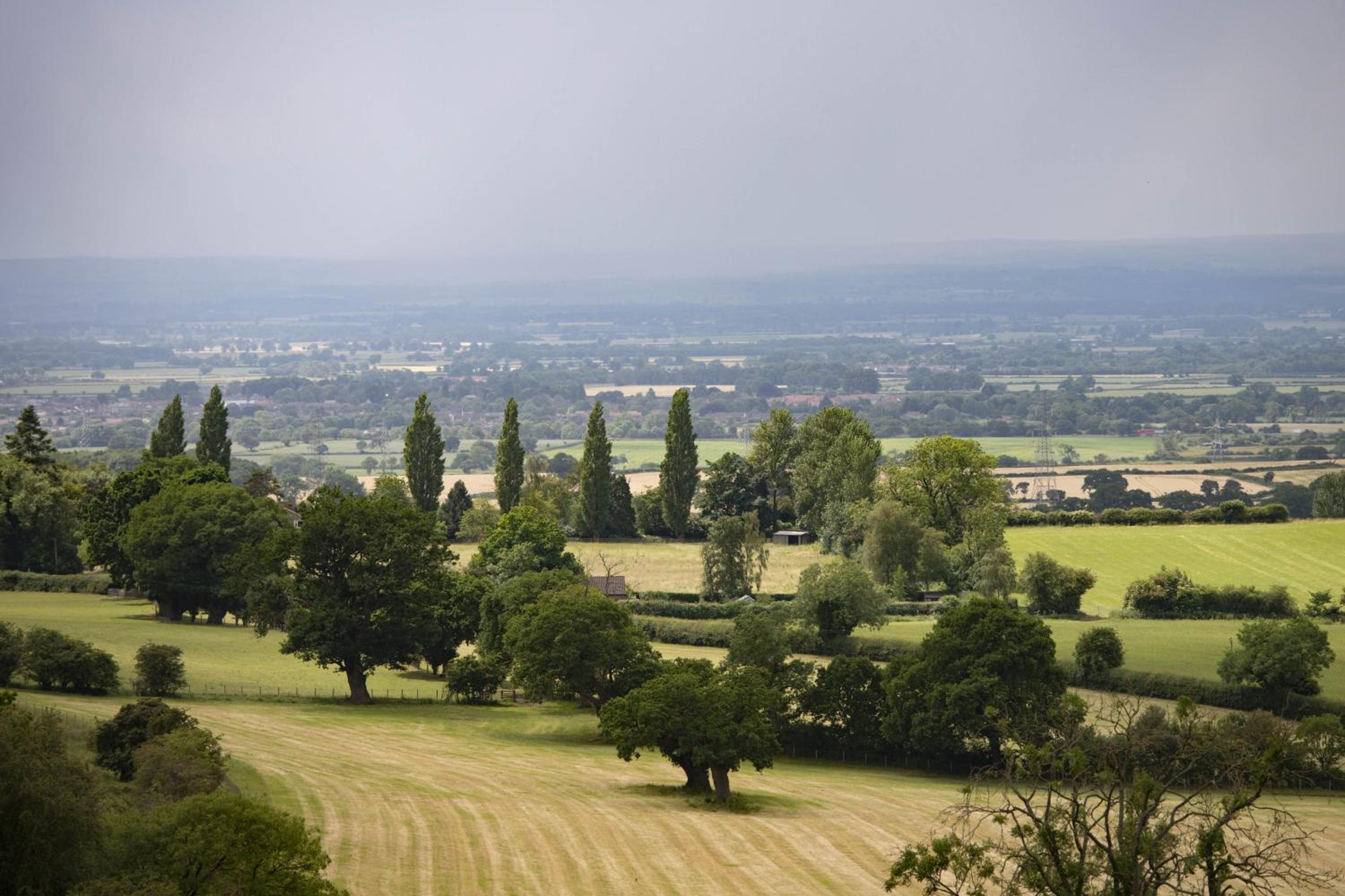 Five Acres, fotografía 4