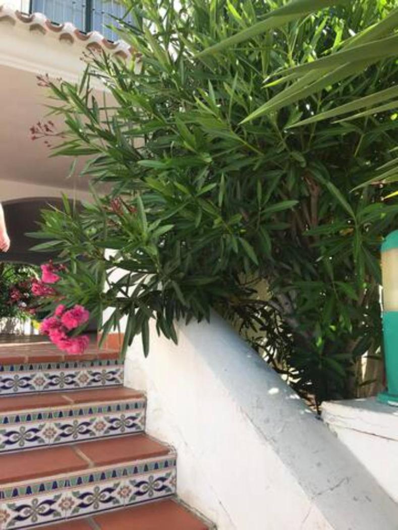 Appartement Pueblo del Parque avec belle terrasse