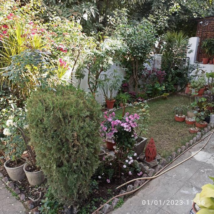 Henry's Home view 3